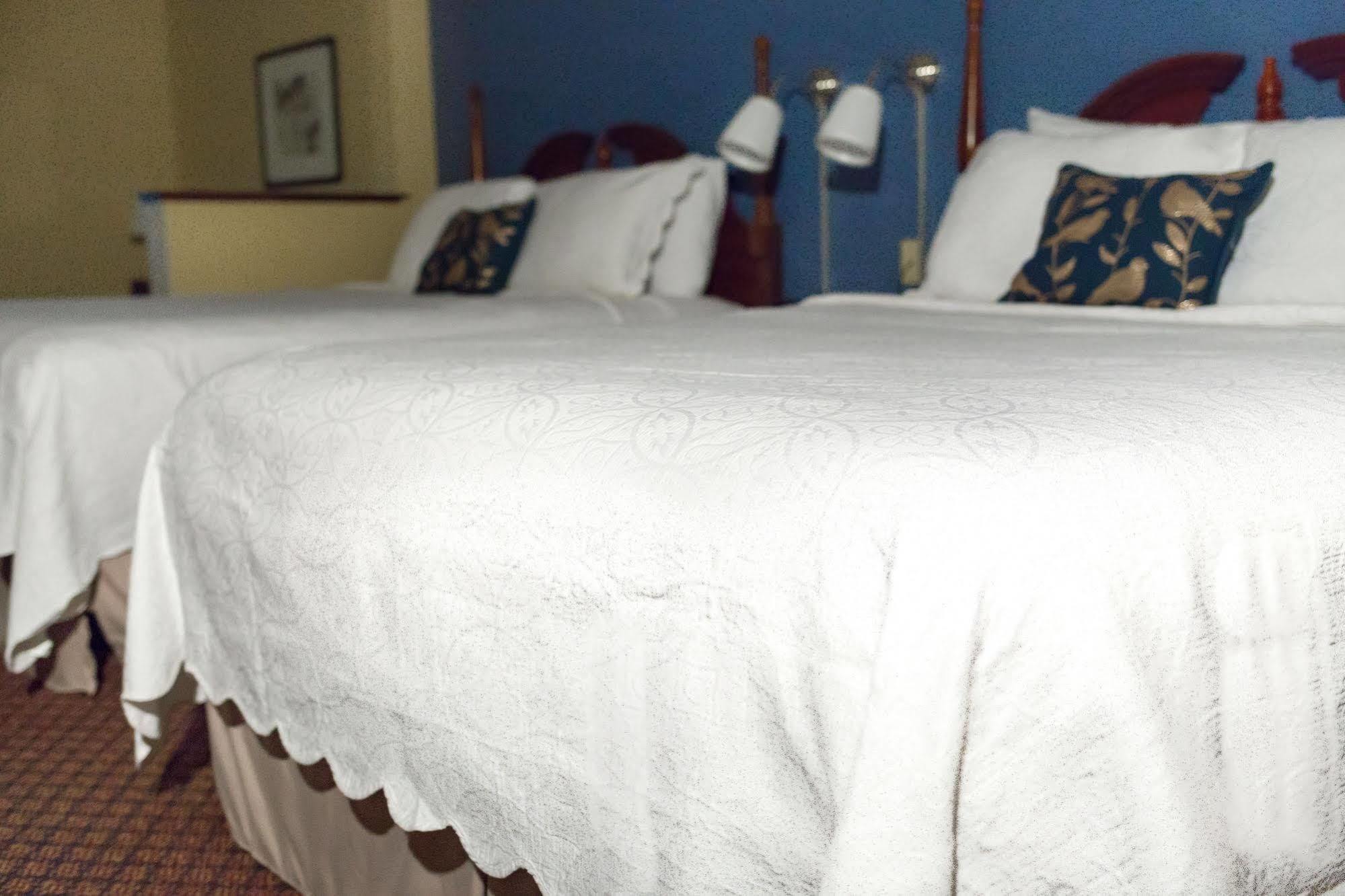 Super 8 By Wyndham High Point/Greensboro Extérieur photo